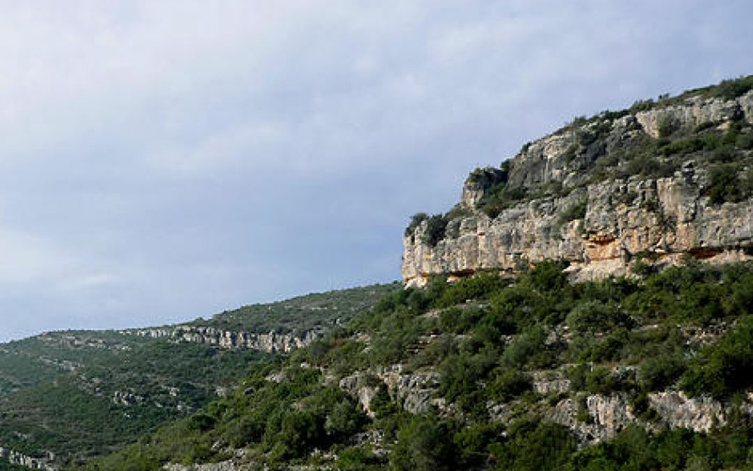 Art prehistòric al Montsià